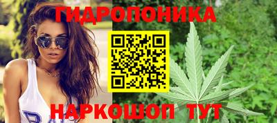 Альфа ПВП Краснознаменск