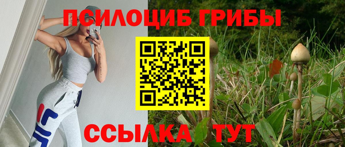 Галлюциногенные грибы Magic Shrooms Азов